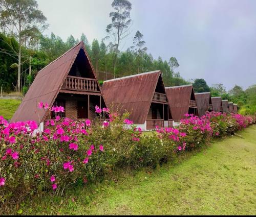 Une rangée de cabanes avec des fleurs roses devant elles dans l'établissement Estância das Nascentes Chalé 1, à Salesópolis