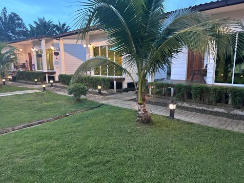 a palm tree in front of a house at Rich Villa 度假庄园 in Semporna