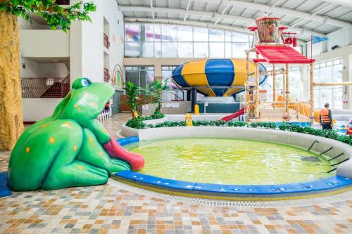 a water park with a frog sitting in a pool at Jungheung Gold Spa & Resort in Naju