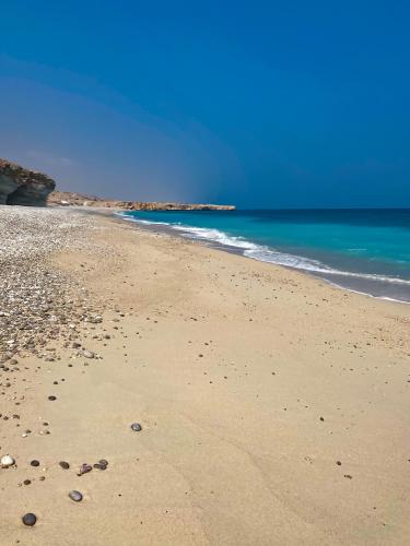 a beach with shells on the sand and the ocean at Wadi shab guest house in Ţīwī