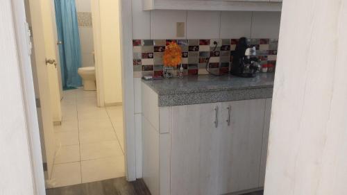 una cucina con un lavello e un piano di lavoro di Cozy Suite in cdla. Kennedy a Guayaquil