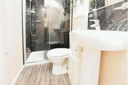 a bathroom with a toilet and a sink and a shower at The Meridan Lodge - Close to beach - Swimming Pool & Amusements in Clacton-on-Sea