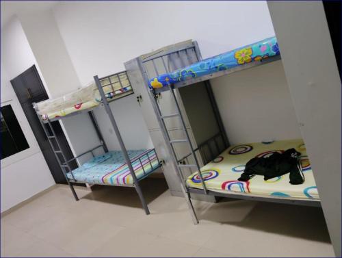 two bunk beds in a room with a cat on the floor at Studio Flat in AWS in Dubai