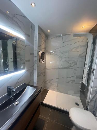 a bathroom with a shower and a sink and a toilet at Hôtel Gallia Cannes in Cannes