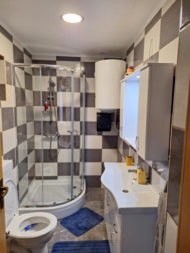 a bathroom with a shower and a toilet and a sink at Apartman Krajcer 
