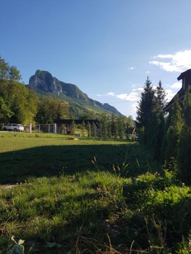 a field of grass with a mountain in the background at Cabana Anisoara-Rimetea in Rimetea