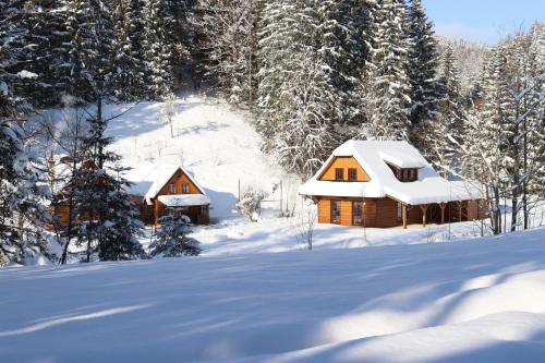 Dřevěnice v Brodské durante el invierno