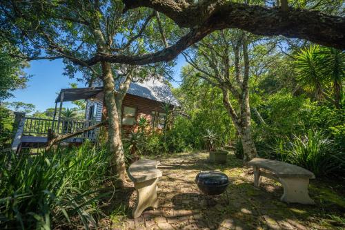 a house in the woods with a bench and trees at A Stone's Throw Accommodation in Grahamstown