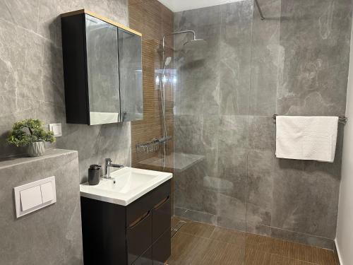 ein Bad mit einem Waschbecken und einer Dusche in der Unterkunft Apartament lângă VIVO in Floreşti