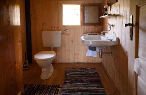 a bathroom with a toilet and a sink at Garanshütte in Schwanberg
