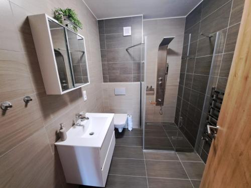 een badkamer met een wastafel en een douche bij Apartmány - Malé Lipno in Černá v Pošumaví