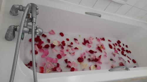 bañera llena de confeti rosado y rojo en Coral Luxury homestay nyali-on coral drive en Mombasa