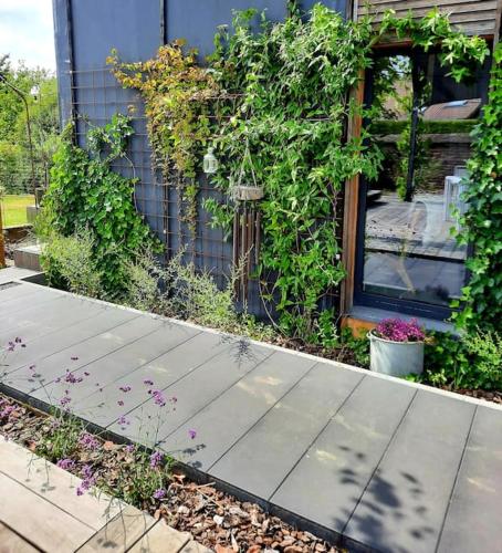 a walkway in front of a house with plants at Ateljee Sohie in Hoeilaart