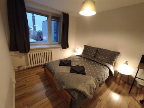 a bedroom with a bed and a large window at Alicante Apartament - 48m² ✓ in Rybnik