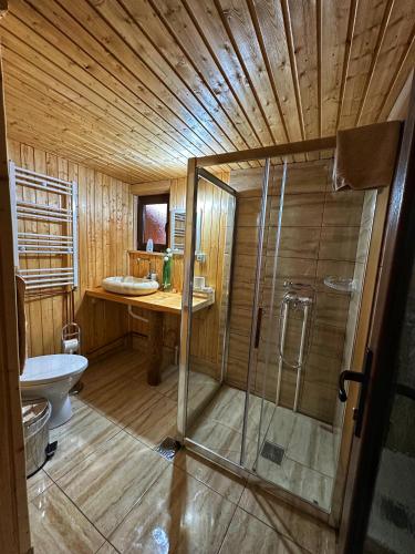 a bathroom with a shower and a toilet and a sink at Căsuța din Stejari-Transalpina in Novaci-Străini