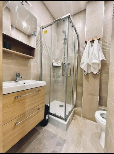 La salle de bains est pourvue d'une douche, d'un lavabo et de toilettes. dans l'établissement Studio spacieux refait à neuf (4), à Saint-Ouen