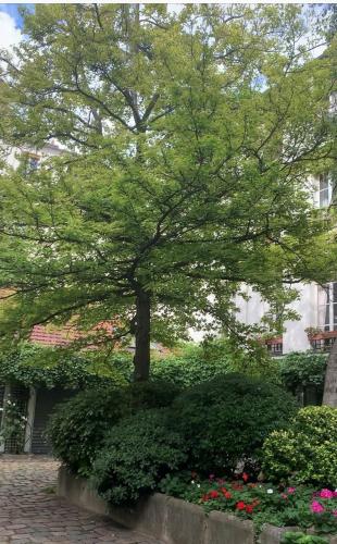 Le Marais, Romantic loft apartment! min 31 nights from June to December