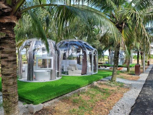 a domed house with a green lawn with palm trees at The Coco Journey - Eco Dome in Melaka
