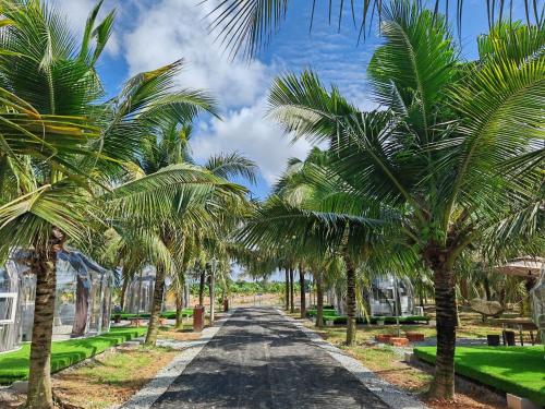 a plantation of palm trees on a road at The Coco Journey - Eco Dome in Melaka