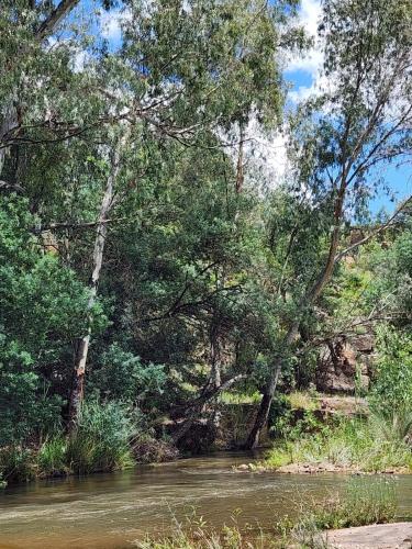 a river with trees and grass and water and a riverngth at Mountain Haven Hideaway in Buffelspoort