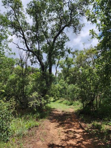a dirt road through a forest with trees at Mountain Haven Hideaway in Buffelspoort