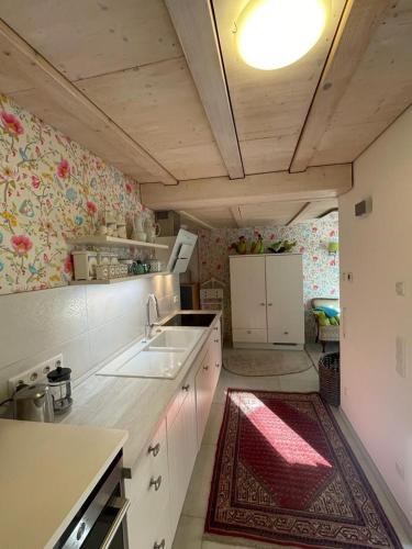 a kitchen with a sink and a counter top at Albliebe am Rosenbühl in Münsingen