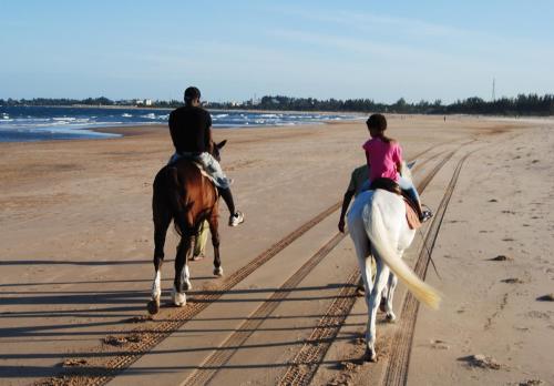 two people riding horses on the beach at Roma Stays - Spacious Studio in Nyali opp Retna Square Close to Nyali Cinemax in Kisauni