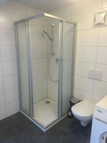 uma cabina de duche na casa de banho com WC em Montel PARK - Nizza em Landl