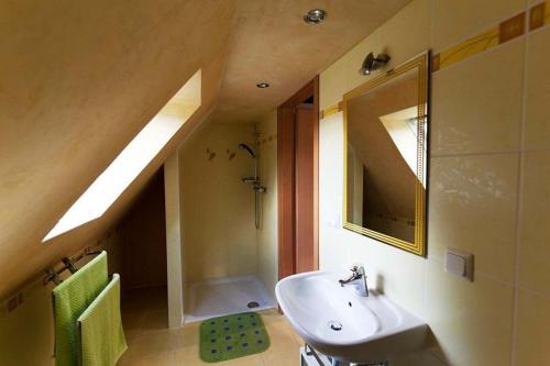 a bathroom with a sink and a shower and a mirror at Ferienwohnung Verena Wunderlich in Schlepzig