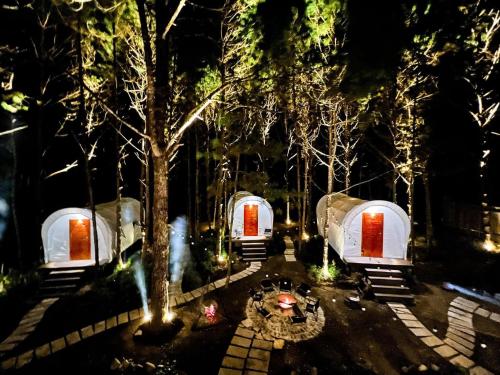 a group of tents in a park at night at De Vivre Homestay Măng Đen in Kon Von Kla