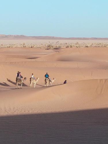 a group of people riding horses in the desert at La Maison-Berbère Mhamid in Mhamid