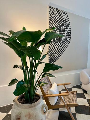 a plant in a pot in a room with a chair at Palazzo Piccinno in Parabita