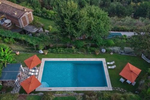 an aerial view of a swimming pool with umbrellas at Villa Marlia in Lucca
