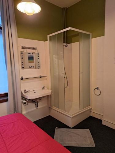 ein Bad mit einer Dusche und einem Waschbecken in der Unterkunft Apartment Van Hecke in Blankenberge