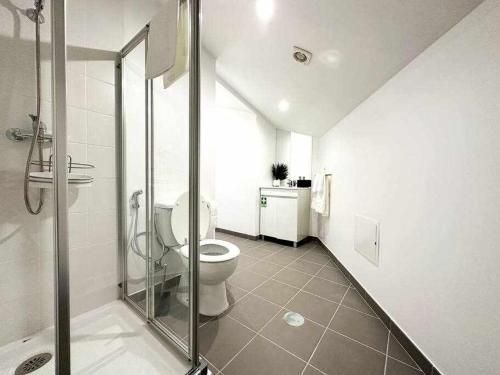 uma casa de banho com um WC e uma cabina de duche em vidro. em Pena Apartments C no Funchal