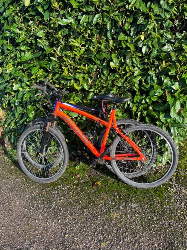 an orange bike parked in front of a hedge at Belle Vue Farm B&B in Fritham