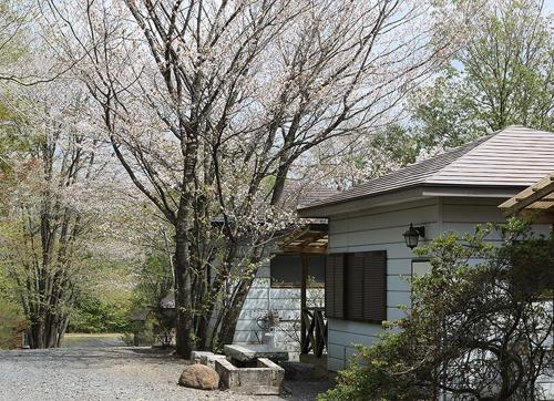 a house with a tree in front of it at Washinosu Campground - Vacation STAY 85295v in Motegi