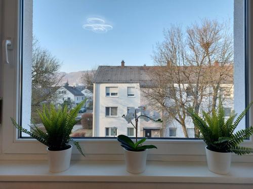 a window with three potted plants on a window sill at Charmante Wohnung in Oberkochen in Oberkochen