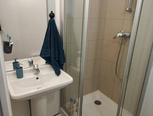 een badkamer met een wastafel en een douche bij Superbe appartement avec 3 chambres à 700 mètres du stade de France in La Plaine-Saint-Denis