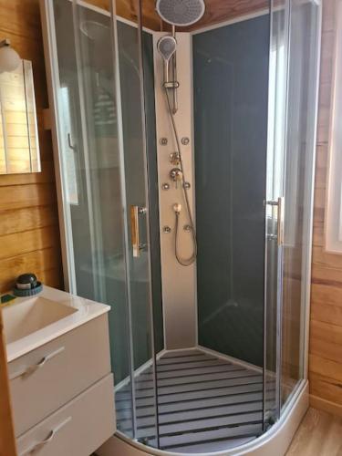 a shower with a glass door in a bathroom at Chalet au coeur du parc du Morvan - Moux-en-Morvan in Moux-en-Morvan
