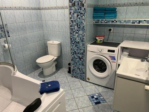 a bathroom with a toilet and a washing machine at Apartament Kudowa Zdrój - Słone 60m2 in Kudowa-Zdrój