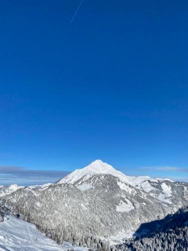 a mountain covered in snow with a blue sky at Le Roitelet in Châtel