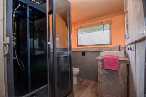 La petite salle de bains est pourvue d'une douche et de toilettes. dans l'établissement Glamping Drouwenerzand - Danny's Lodge, à Drouwen