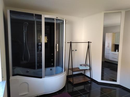 een badkamer met een douche met een glazen wand bij Loft apartment in Malterdingen