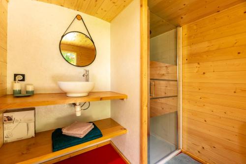 ein Bad mit einem Waschbecken und einer Dusche in der Unterkunft Domaine de la Cambre in Duffort