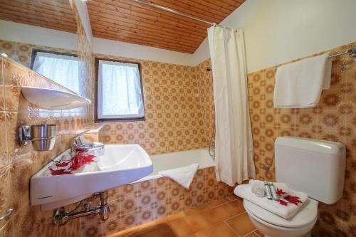 ein Bad mit einem Waschbecken und einem WC in der Unterkunft Chalet Charpoua - Happy Rentals in Chamonix-Mont-Blanc