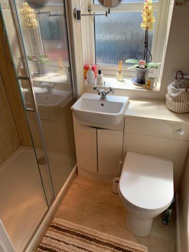a small bathroom with a toilet and a sink at Sunnieside Cottage in Seahouses