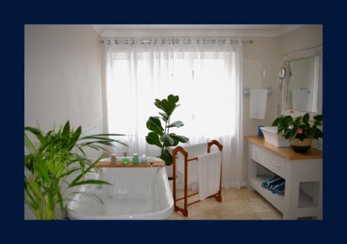 a bathroom with a bath tub and plants in it at Rest and Sea Self-catering - The perfect family or couples getaway to relax and refresh in Franskraal