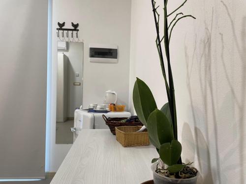a kitchen with a table with a potted plant at Le Ghie in Mondovì