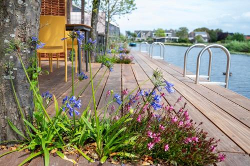 a wooden boardwalk with flowers on it next to the water at 5 persons Holiday Home Comfort in Roelofarendsveen